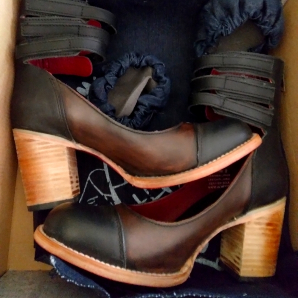 Freebird by Steven Bonnie